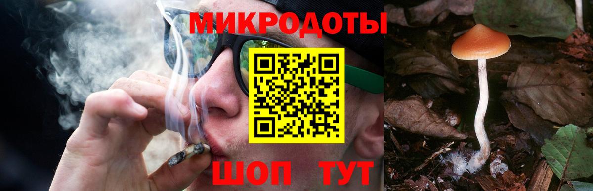 Галлюциногенные грибы Psilocybe  Вход с VPN  Коломна 