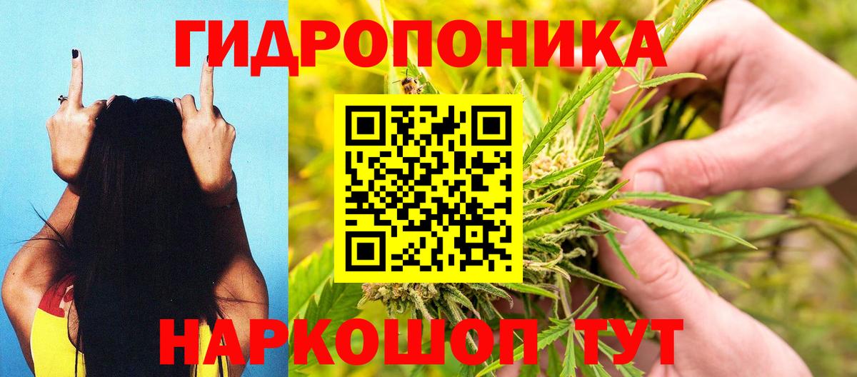 МАРИХУАНА сатива Коломна